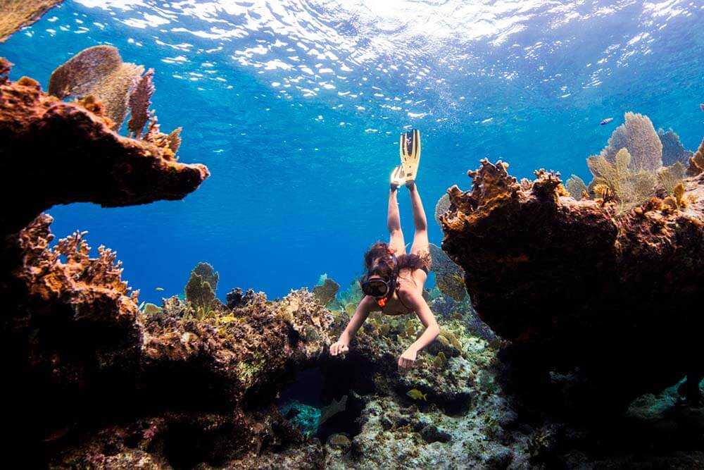 scuba diving, Providenciales, Turks and Caicos